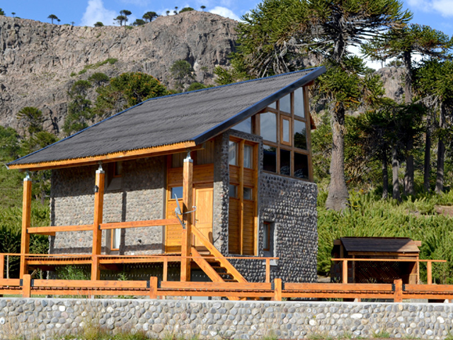 Ventanas al bosque