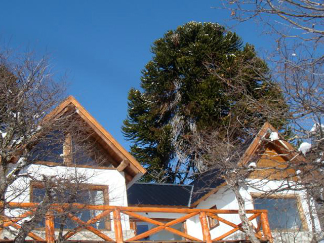 Cabañas Altos de Moquehue