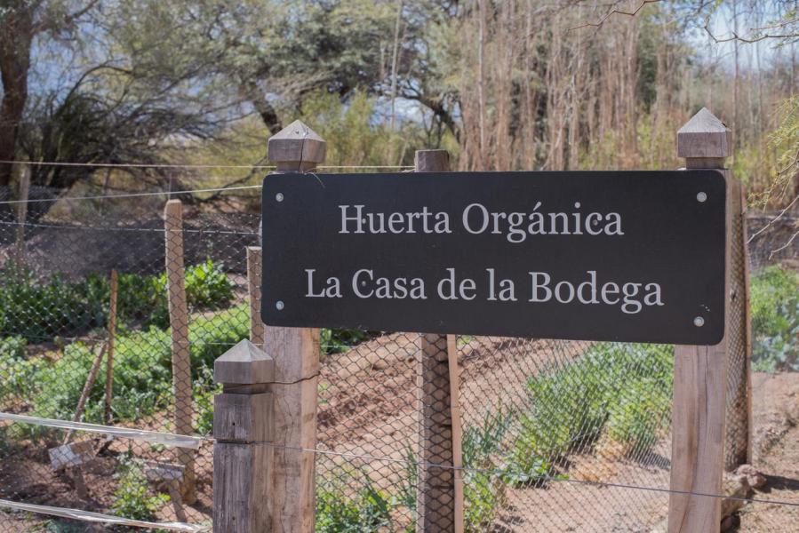 Huerta orgánica